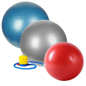 Anti-Burst Gym Ball - 55cm  65cm or 75cm w/ Pump