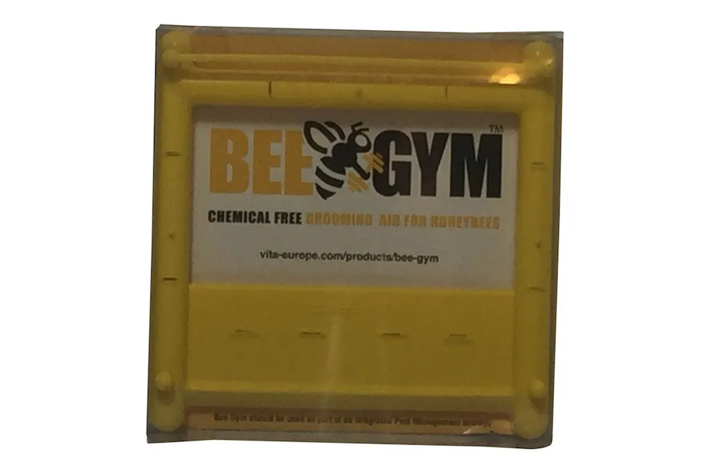 Bee Gym