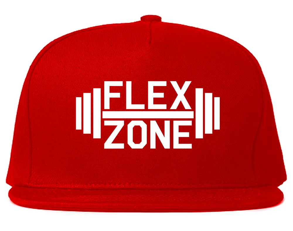 Flex Zone Fitness Gym Mens Snapback Hat