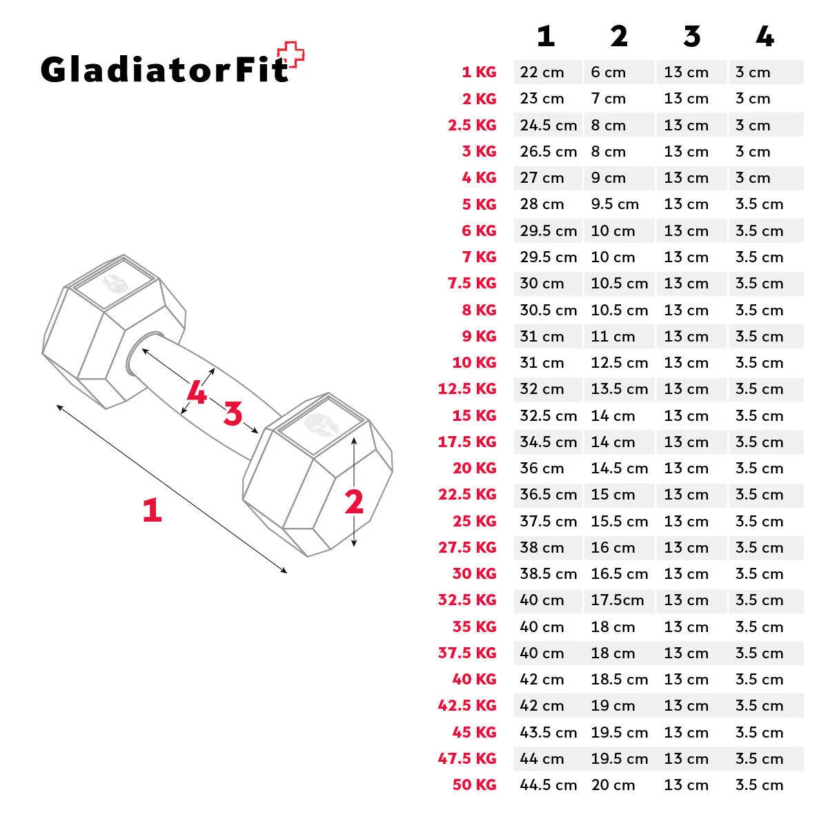 Hexagonal Rubber Dumbbell | Several GLADIATORFIT scales