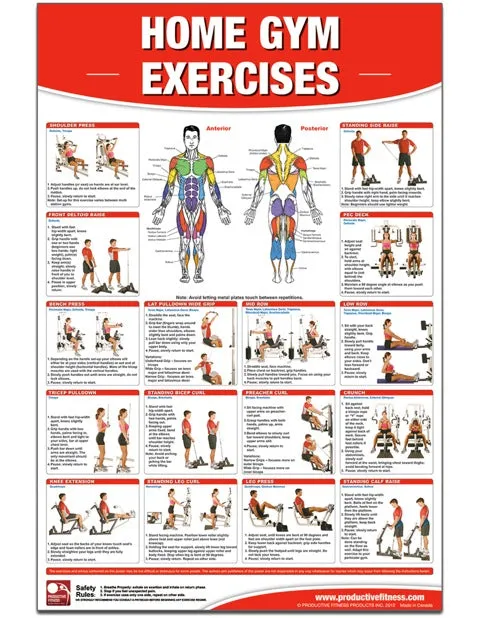 Home Gym Exercises Poster