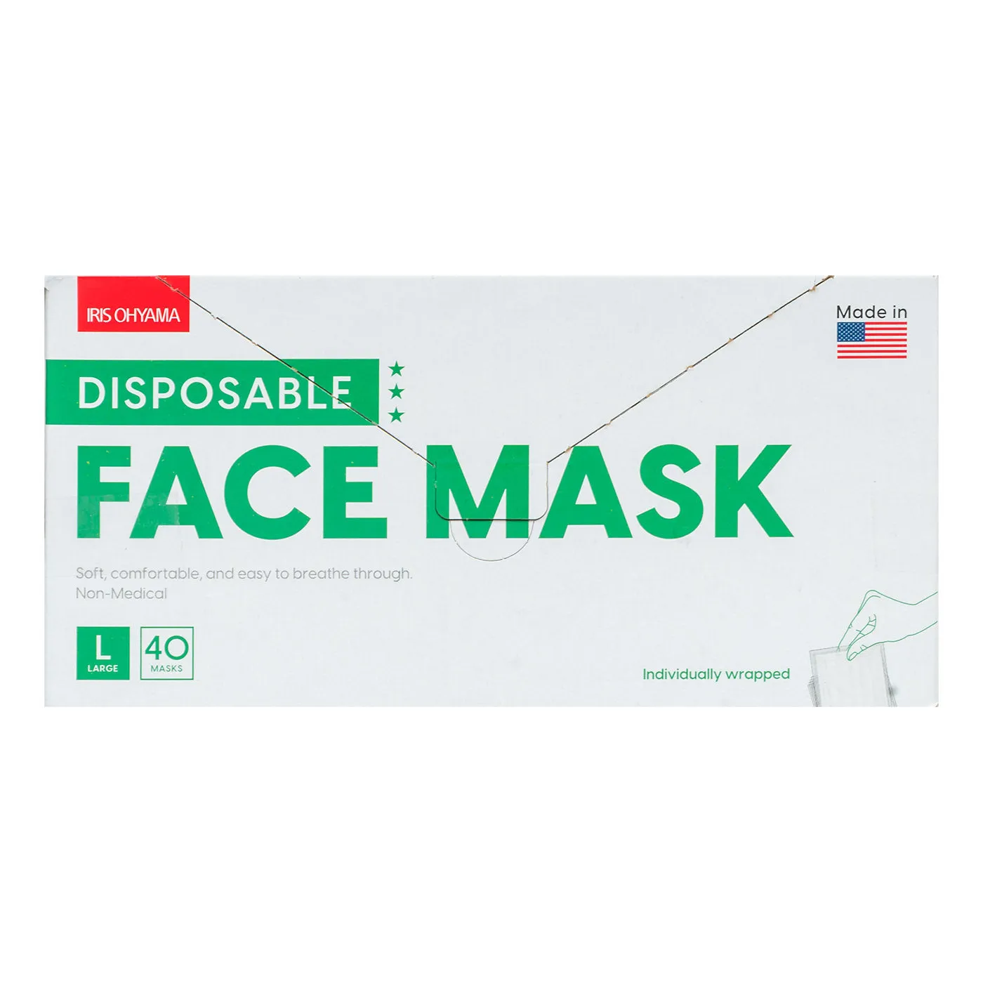 Individually Packaged Earloop Face Mask - 40-Piece