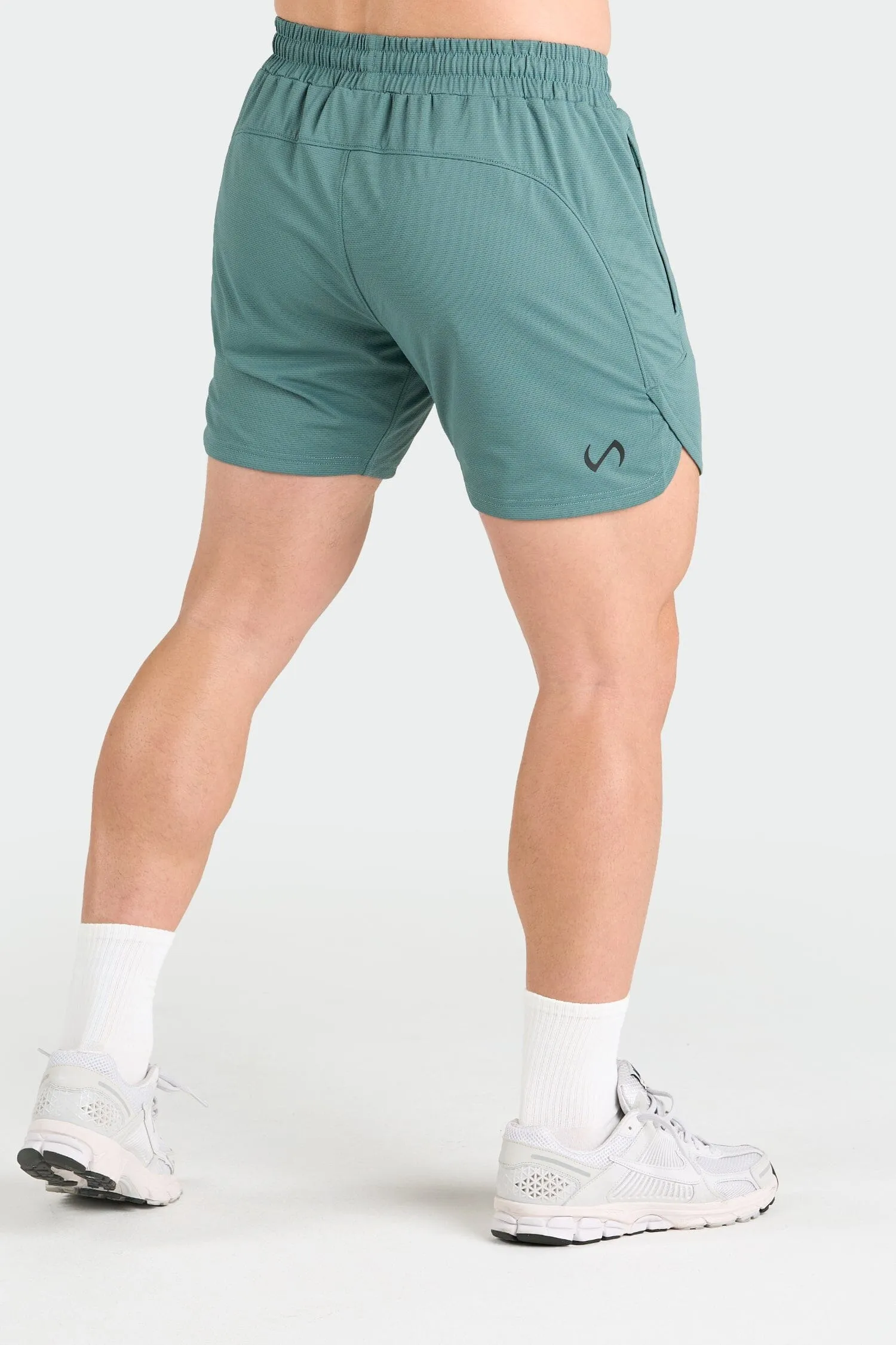 Micro Mesh 5.5 Inch Shorts