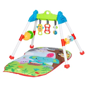 Smart Steps® Jammin' Gym with Playmat STEM Learning Toy