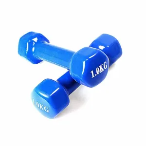 Vinyl Dumbbell Set Solid Aerobic Training Weights Strength Home Dumbbells Gym